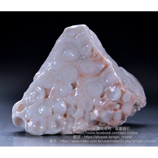 《※精品水晶※》能量至寶 - 滿滿舍利的龍宮舍利原礦 R210102