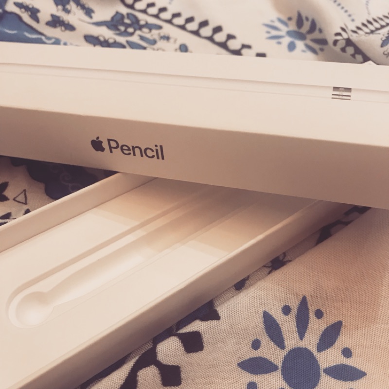 Apple Pencil AirPods Pro外盒 整人 轉賣