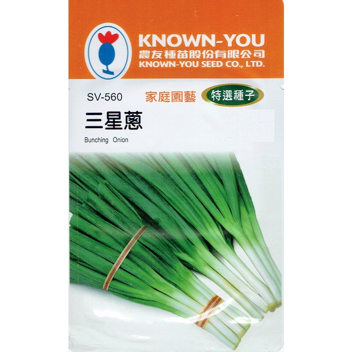 種子王國 三星蔥 Bunching Onion(sv-560)  四季蔥【蔬菜種子】農友種苗特選種子 每包約2公克