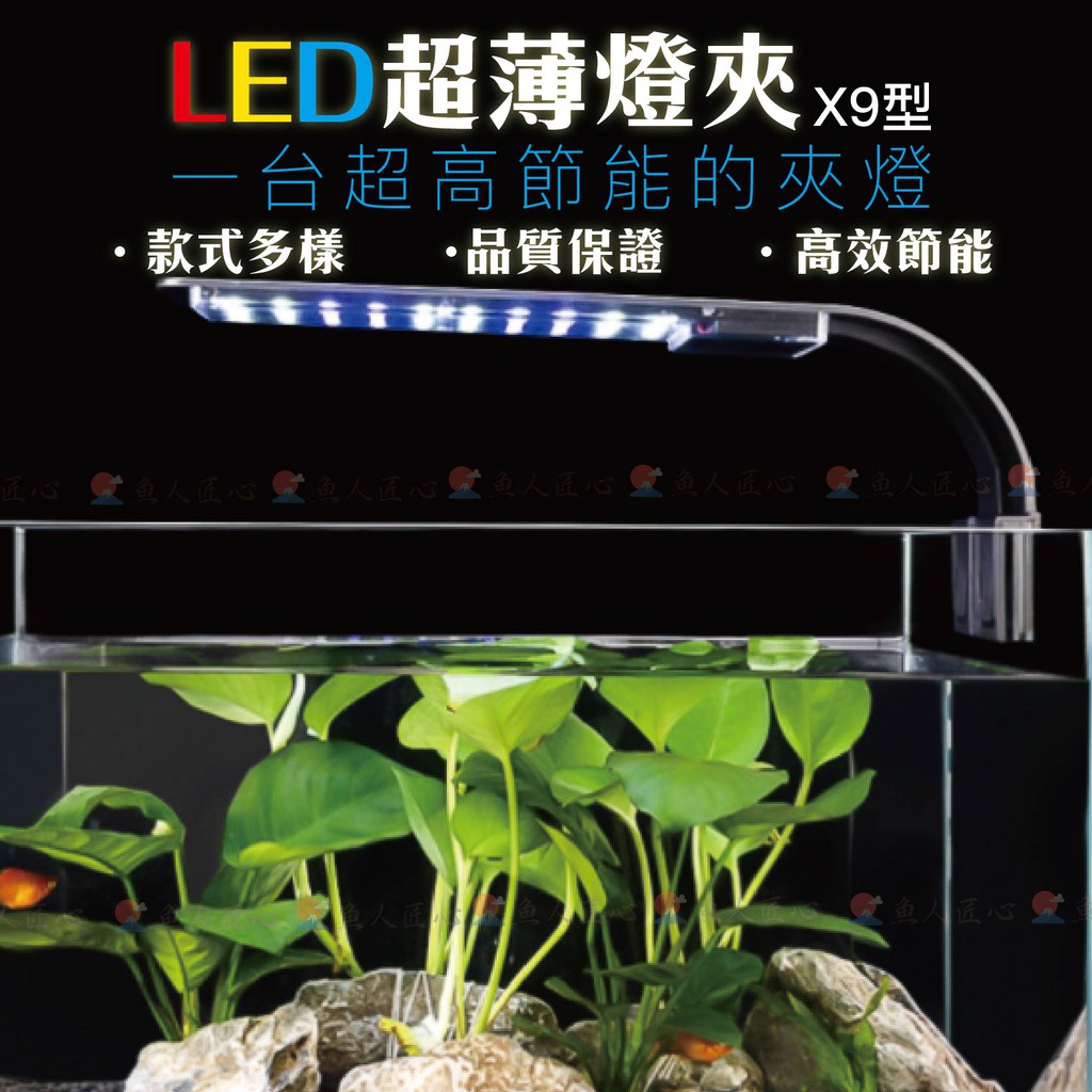 水草缸led 拍賣 評價與ptt熱推商品 21年5月 飛比價格