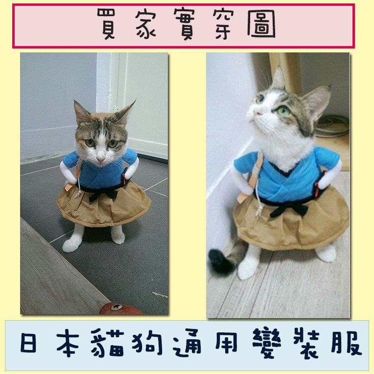 17 貓狗寵物變裝浦島太郎桃太郎金太郎日本寵物服狗衣服貓衣服情人節七夕變裝禮物送禮 蝦皮購物