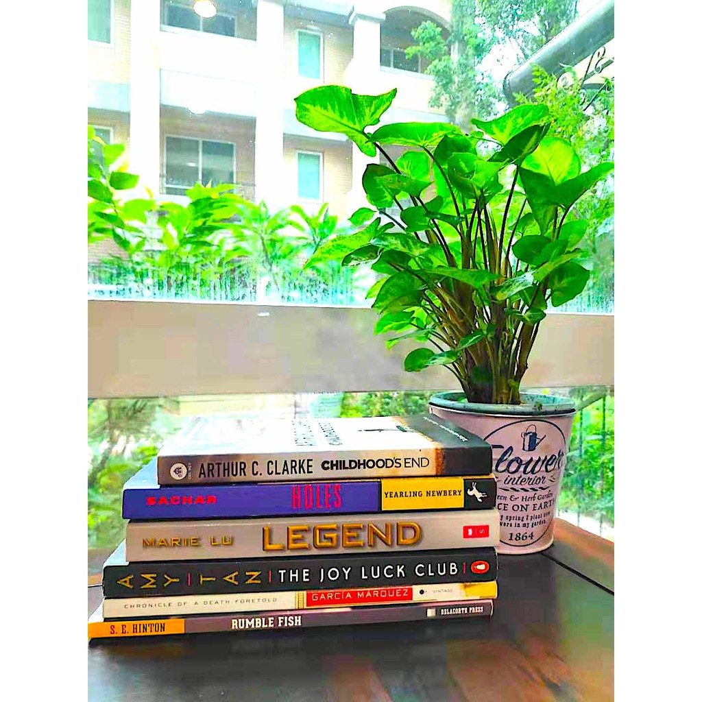 經典二手原文小說便宜賣 (Holes, The Joy Luck Club, Rumble Fish..)！詳情請看內文