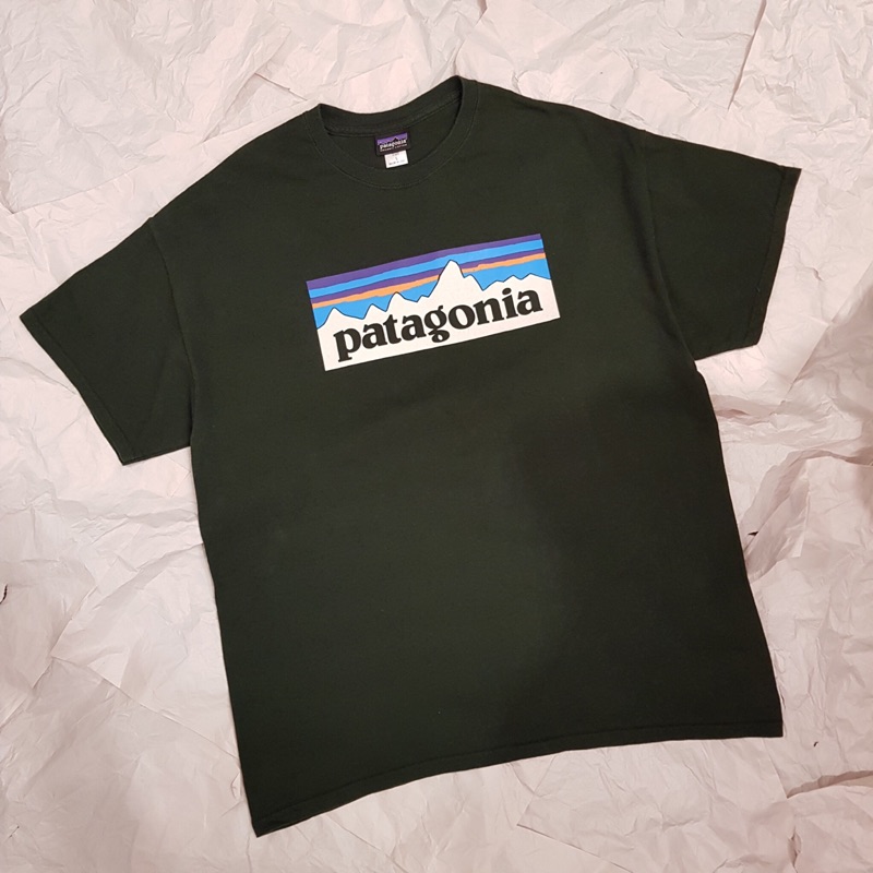 蘿西古著 Patagonia短袖T恤 復古 美式 （M10)