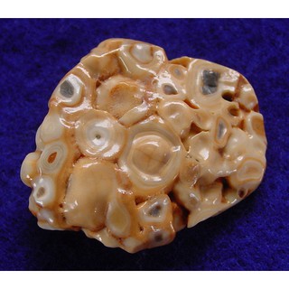 ※精品水晶※》能量至寶 - 龍宮舍利 胸墜 C180507