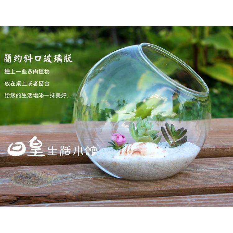 【天天】斜口玻璃瓶 DIY景觀玻璃瓶 多肉植物苔藓瓶 zakka 拍攝道具 微景觀 盆栽造景多肉裝飾 玻璃球