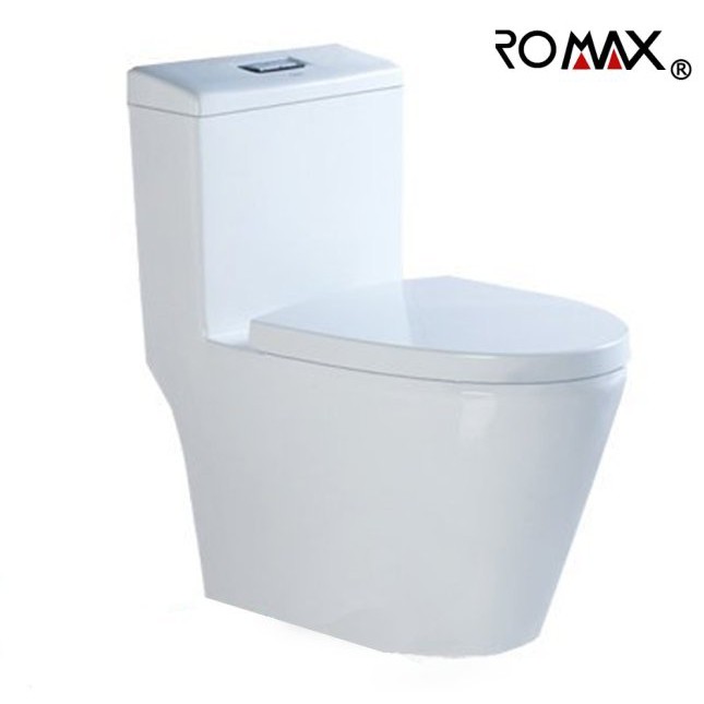 《金來買生活館》美國品牌 ROMAX R8028 水龍捲 單體馬桶 兩段式沖水 含緩降馬桶蓋 同TOTO雙龍捲