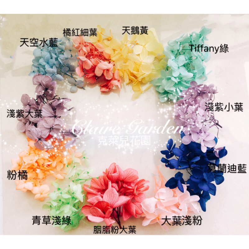 不凋繡球 乾燥花 美甲乾燥 小葉繡球乾花 乾花 繡球花 木繡球 安娜繡球 永生繡球 乾燥花材料 紫陽花 克萊兒花園 蝦皮購物
