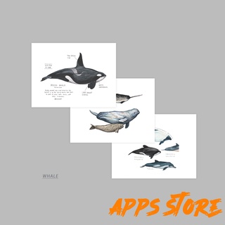[Apps store]非常律師禹英禑 우영우NICKIGAO插畫 · 鯨魚 · 水彩對折卡片 · 手帳原創科普賀卡