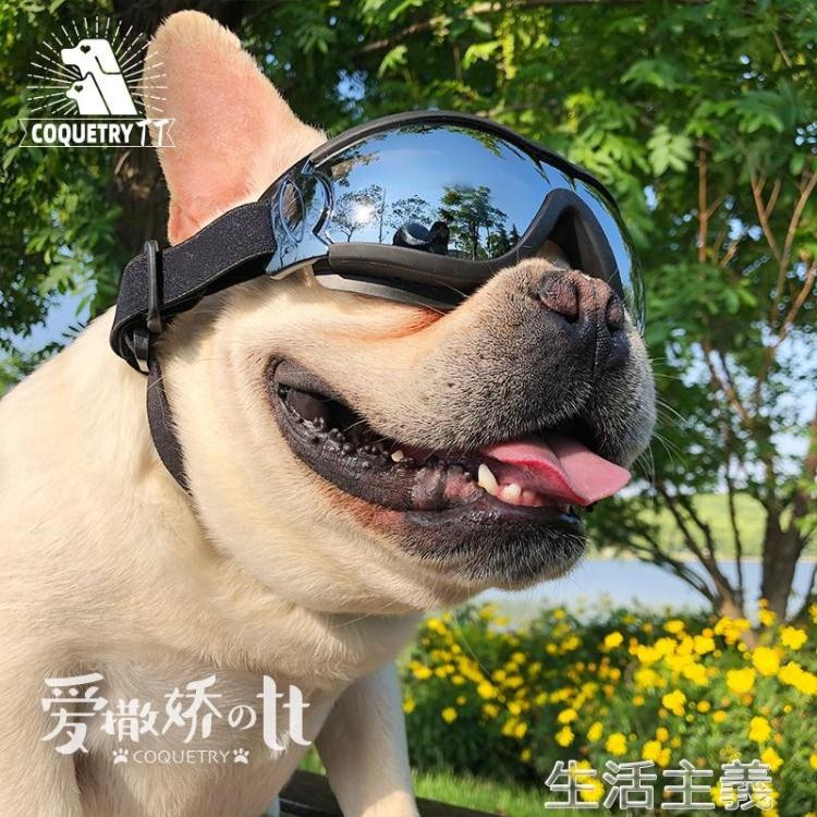犬用護目鏡的價格推薦 21年11月 比價比個夠biggo