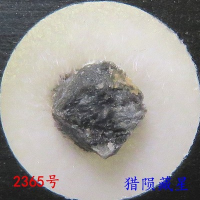 阿爾及利亞月球隕石nwa長石角礫巖原石禮盒裝實拍 獵隕藏星 蝦皮購物