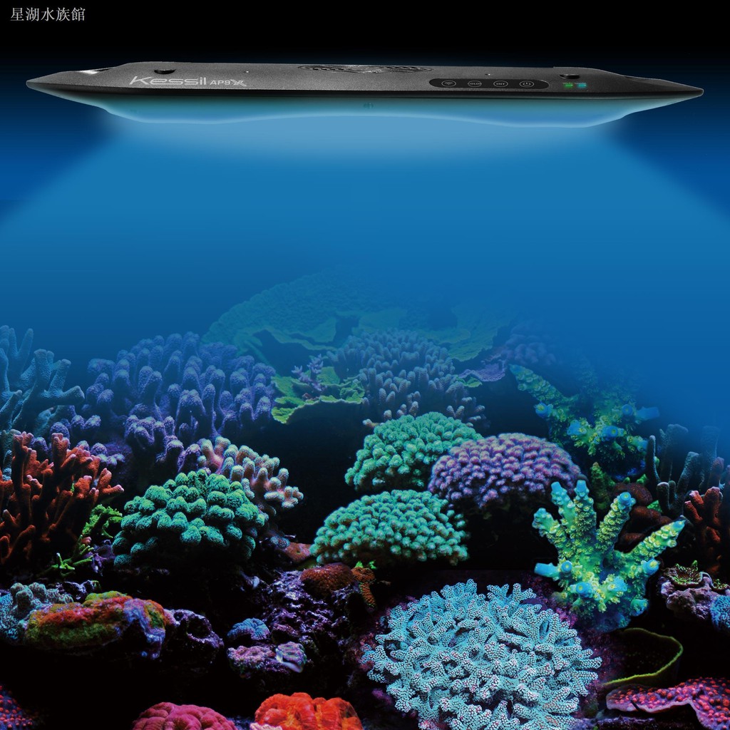 海水缸led燈 拍賣 評價與ptt熱推商品 21年6月 飛比價格