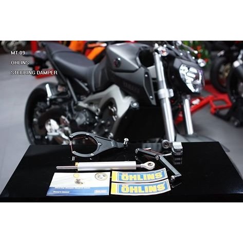 YAMAHA MT09 OHLINS 防甩頭組