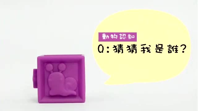 小牛津 123捏疊樂 5Q寶貝觸覺球 (6入) 軟積木 洗澡軟質積木 益智玩具 2158