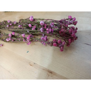 小莓果 乾燥花 永生話 擺飾 桌拍