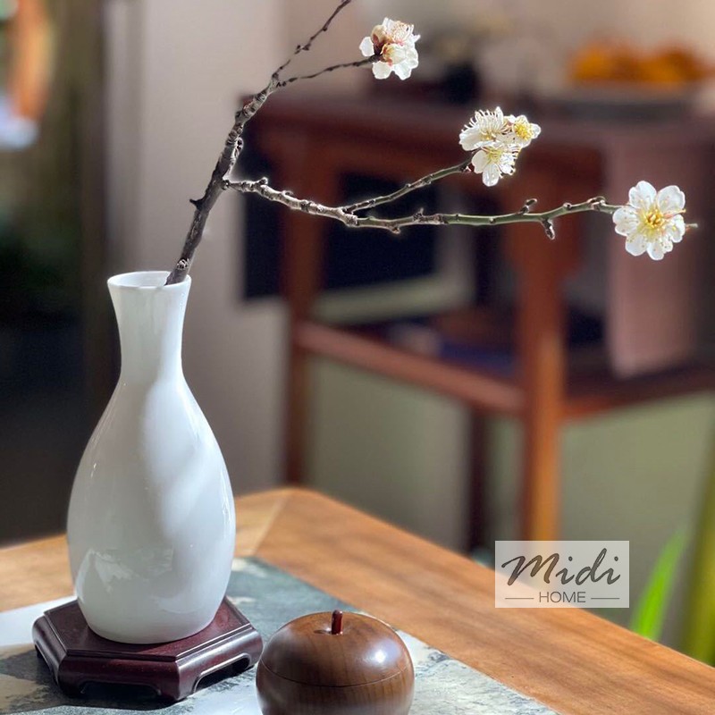 骨粉 Ptt Dcard討論與高評價網拍商品 21年9月 飛比價格