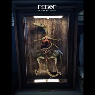 （最後數量）英國REBOR-全球限量-鱷龍/顎龍-標本/解剖模型全球百體限量/售完不補/精緻木盒外框/解剖恐龍/恐龍模型