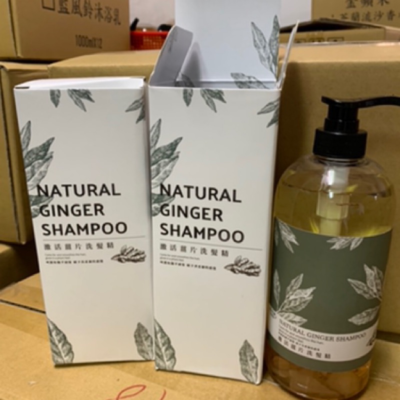 薑洗髮精的價格推薦第8 頁 21年8月 比價比個夠biggo