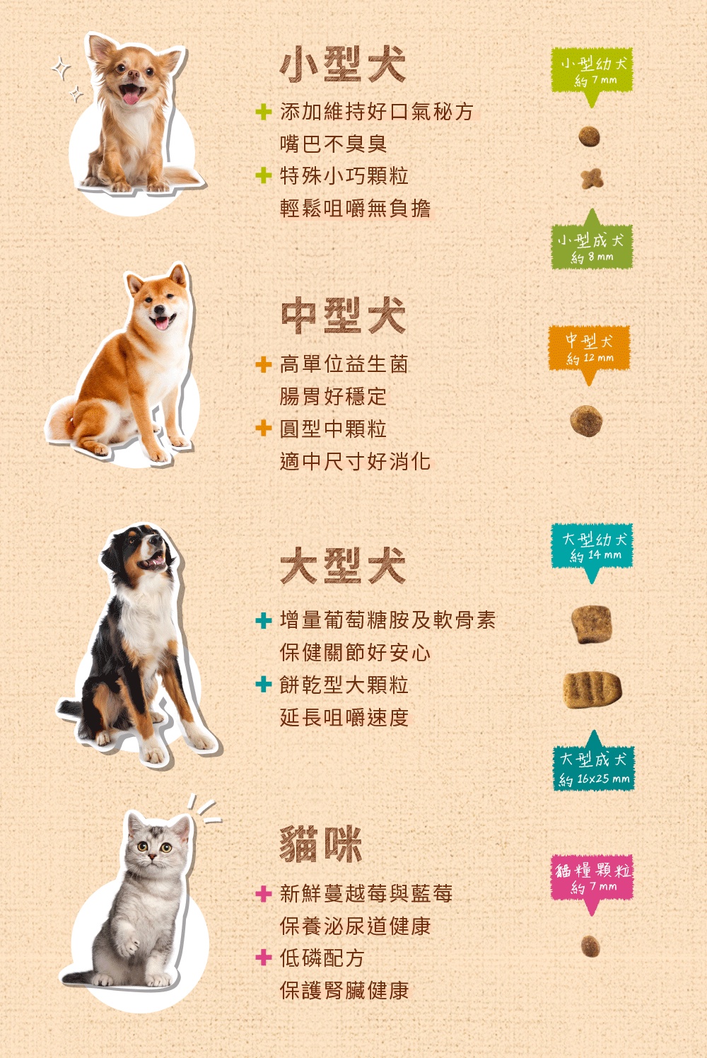 蝦皮購物 花得更少買得更好
