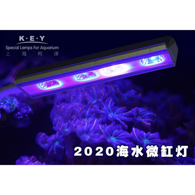 ※傑米水族※ key 柯澤 2020 10w led 夾燈 海水 軟體 珊瑚 藻缸 藻燈 微缸 小缸 fo Lps 調光