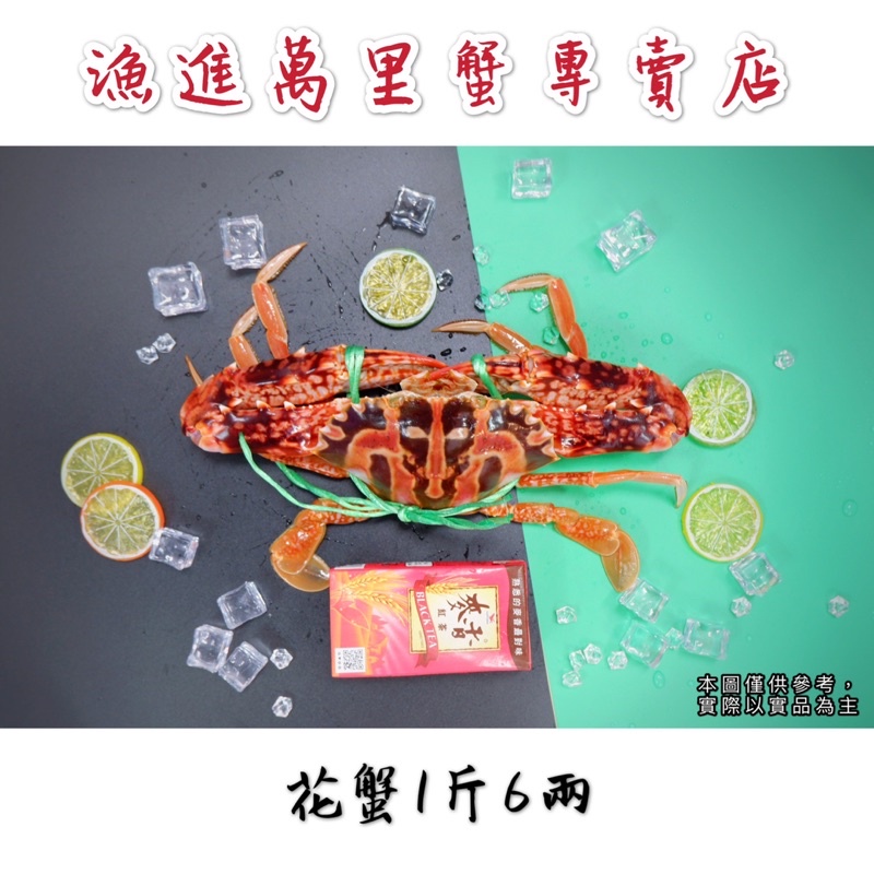 萬里蟹 花蟹 三點蟹 麵包蟹 蝦皮購物