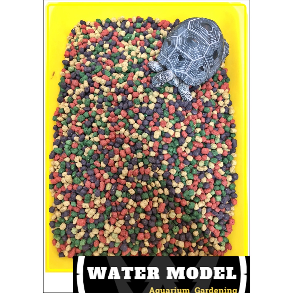 水模型水族#Rep-Cal陸龜專用飼料 3磅 陸龜飼料 蘇卡達 紅腿 赫曼 烏龜飼料 彩色飼料 富含天然植物 水果 營養