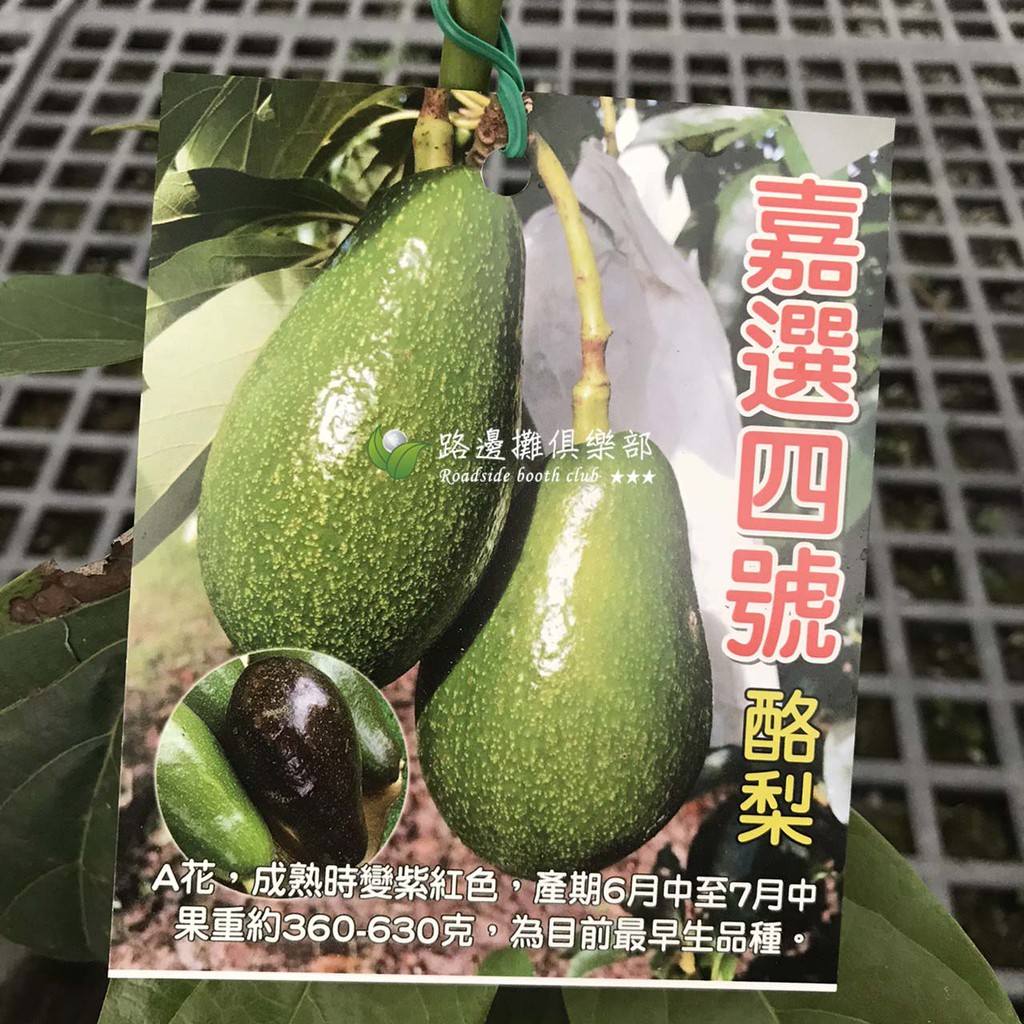 早生酪梨的價格推薦第2 頁 21年10月 比價比個夠biggo