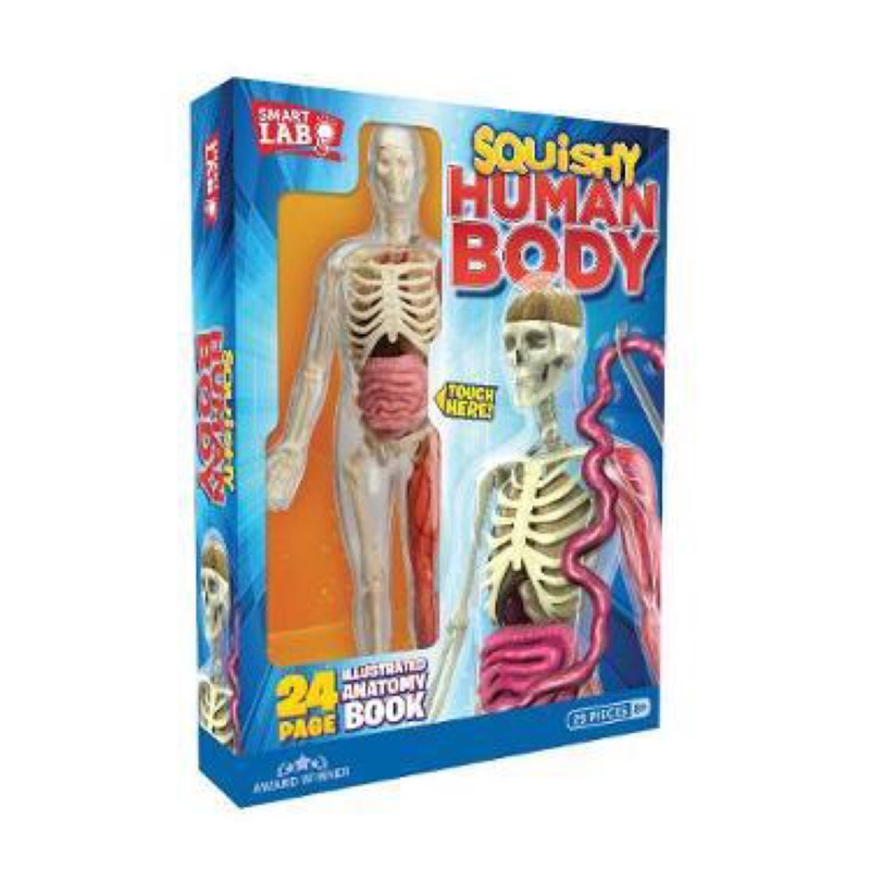 smart lab squishy human body