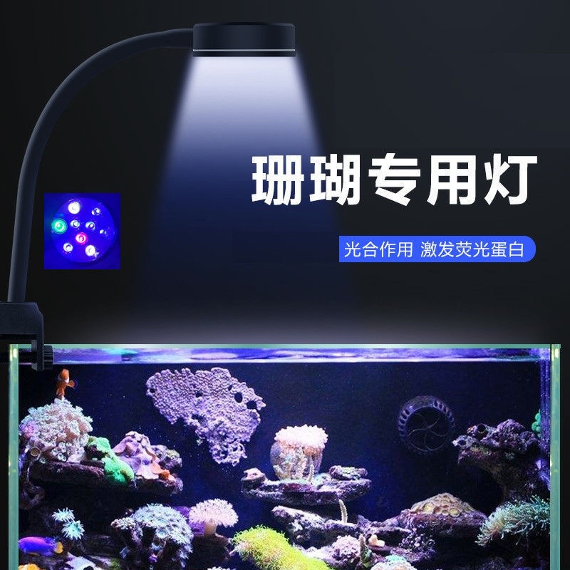海水缸led射燈小丑魚軟體珊瑚海葵補光燈藻燈淺海新手魚缸燈具54 蝦皮購物