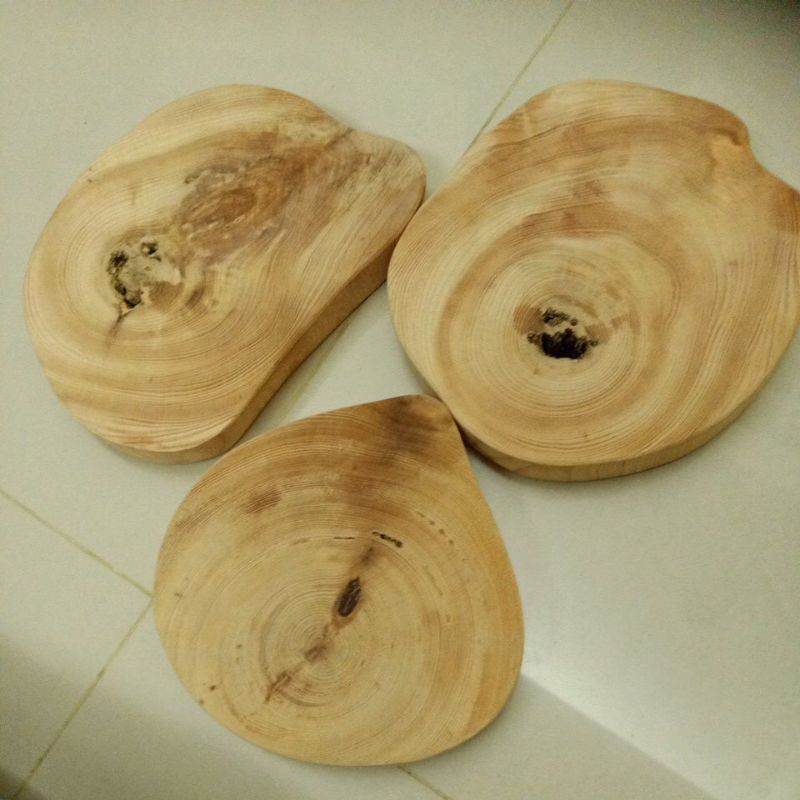 臺灣檜木（紅檜），可當杯墊或聞香墊，或室內綠植盆栽墊片用