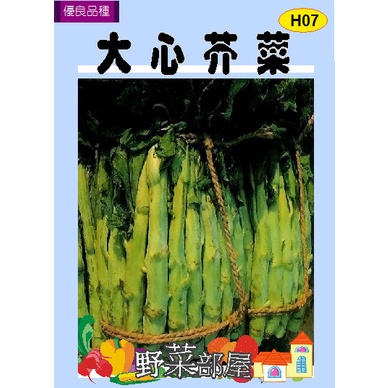 【野菜部屋~】H07 中晚生大心芥菜種子2.1公克 , 又稱為菜心 , 每包16元~
