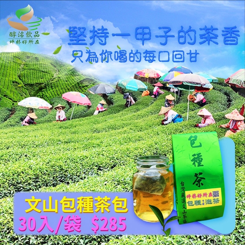 【醇洺飲品】坪林文山包種茶包霸氣袋(30入/袋）