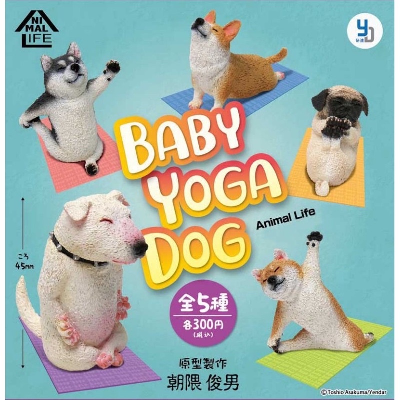 （全新現貨未拆）轉蛋 扭蛋 Animal Life Baby Yoga Dog 朝隈俊男 狗瑜珈狗寶寶 瑜伽 柯基 柴犬