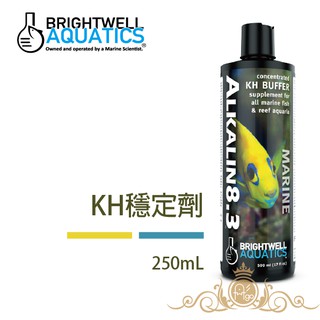 美國 BWA BrightWell KH穩定劑 250ml 海水專用 不影響水質