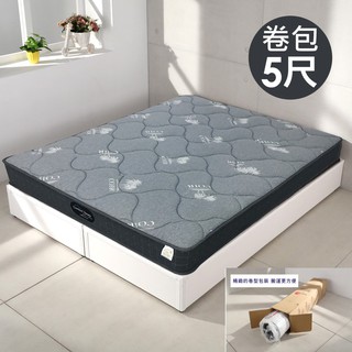 瑞恩彈簧雙人床 單人床 彈簧床 厚實質感床墊 單人加大床 租屋 床墊 歐盟認證 床組 傢俱 和室【e221b】