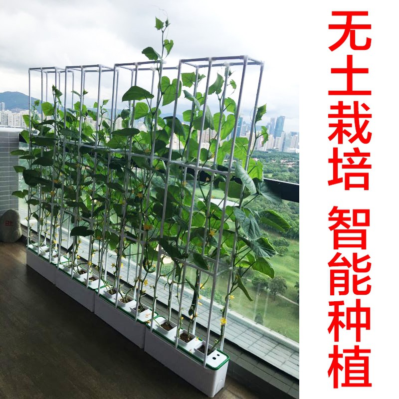 陽臺室內種菜花盆機設備神器家庭菜園水培無土栽培有機蔬菜種植箱 蝦皮購物