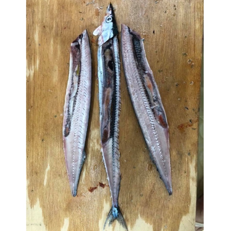 秋刀魚手工無骨秋刀魚片 真空包 白帶魚釣餌 下單當天現殺 凍硬 在送宅配 蝦皮購物