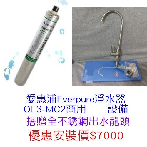 台灣愛惠浦淨水器Everpure QL3-MC2商用設備