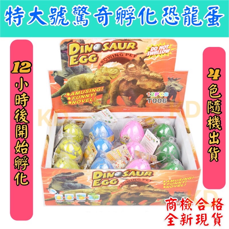 🌟現貨 商檢合格 特大號 驚奇 孵化恐龍蛋 侏羅紀世界 恐龍蛋 泡水玩具 4色 親子玩具 侏羅紀恐龍 同儕遊戲 益智趣味