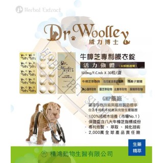 [動物醫院出貨,現貨]精鴻生醫 Dr.Woolley威力博士牛樟芝專利膜衣錠-活力強體配方 腫瘤輔佐.癌破錠.瑞格敏