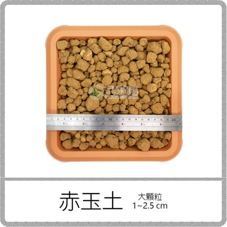 盾牌赤玉土10kg 大 中 小 細 日本進口硬質赤玉赤玉石顆粒土 多肉植物松柏鋪面 蝦皮購物