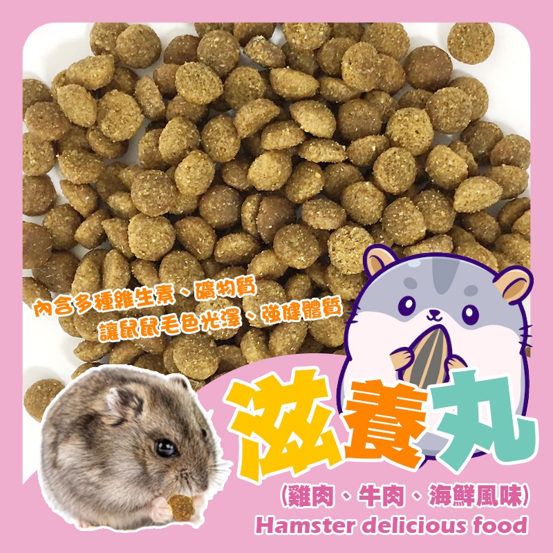 【台灣製】寵物鼠 滋養丸30g 雞肉 牛肉 海鮮 黃金鼠 倉鼠 兔子 鼠飼料 磨牙點心 磨牙用