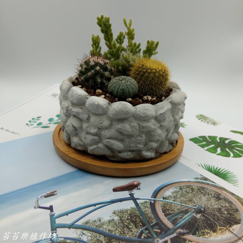 現貨石頭花盆水泥盆苔癬盆多肉盆苔癬盆栽多肉盆栽辦公室小物微景觀手作植物花盆花器 苔苔樂 蝦皮購物
