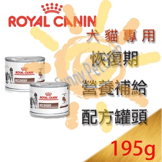 [可刷卡,現貨]皇家處方罐頭 犬貓重症恢復期營養補給配方罐頭-195g 可取代ICU犬貓重症營養液ad