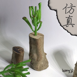 多肉 模擬多肉 微景觀 P59 假多肉植物 辦公室小物 療癒紓壓生日禮物拍照道具居家裝飾咖啡屋商店擺飾迷你木頭底座盆栽