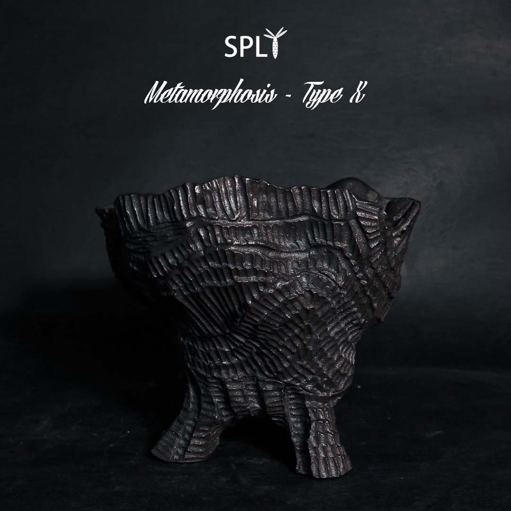 SPLT Metamorphosis Type-X 黑 美國黑土 植物缽 多肉 塊根植物 盆器 陶藝 柴燒 花器
