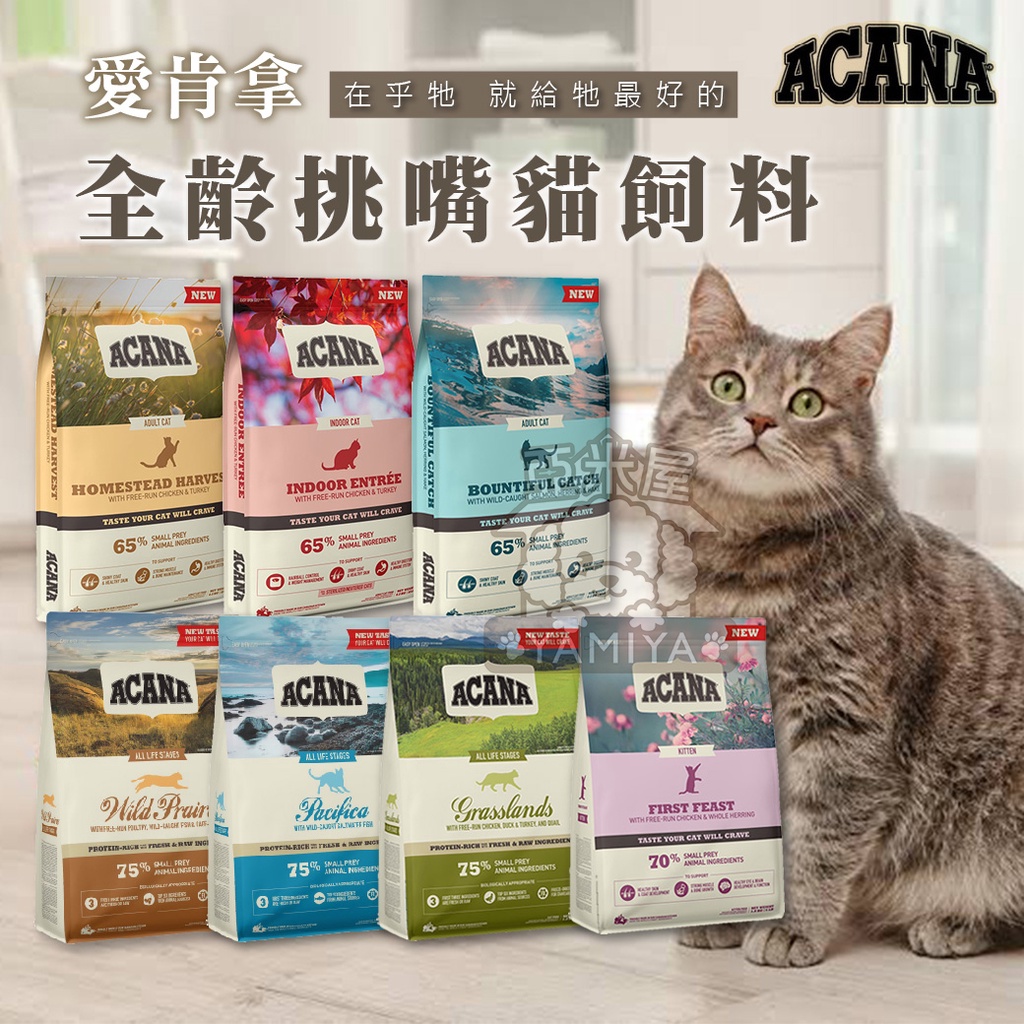 【亞米屋Yamiya】Acana 愛肯拿 無穀貓飼料 公司原裝 公司原裝 無穀糧 貓糧 貓飼料 貓食 340
