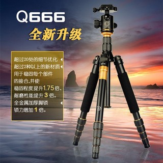原廠現貨 Q666 輕裝時代 5節式 數位相機 鋁合金三腳架 球型雲台 相機伸縮三腳架 適用單眼 微單 類單 附腳架背包