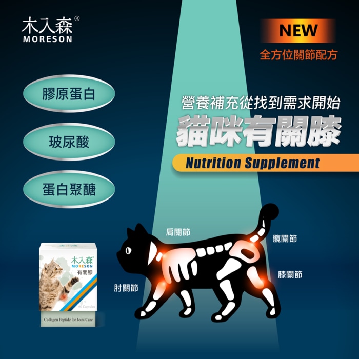 木入森moreson 官方旗艦店 線上商店 蝦皮購物