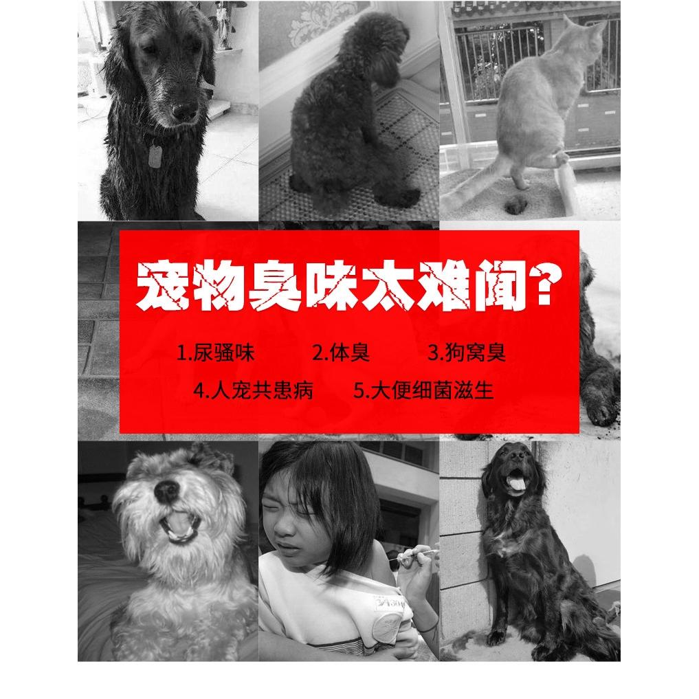 寵愛 現貨 寵物除臭劑寵物噴霧瓶寵物噴霧器寵物噴霧外出殺菌去尿味狗狗貓咪去除臭味貓砂室內騷味狗尿除味噴霧