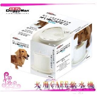 ☆汪喵小舖2店☆ DOGGYMAN 愛犬用CAFE自動飲水機